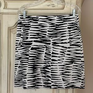 Stylish Black and White Women's Skirt